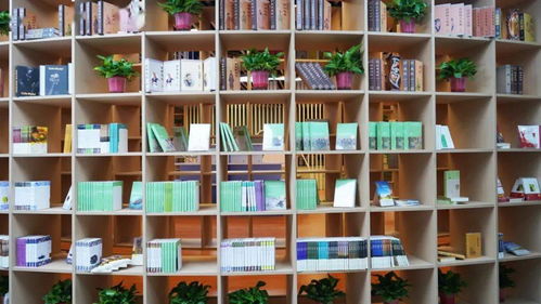 2月6日夢幻 啟航圖書城盛大開業 4a景區內的超大圖書館
